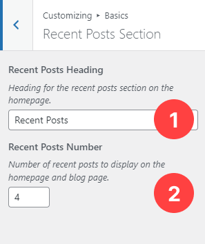 Basics Panel - Recent Posts Section