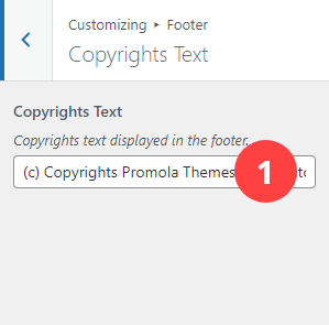 Footer Panel - Copyrights Text Section