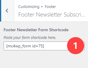 Footer Panel - Newsletter Subscription Section