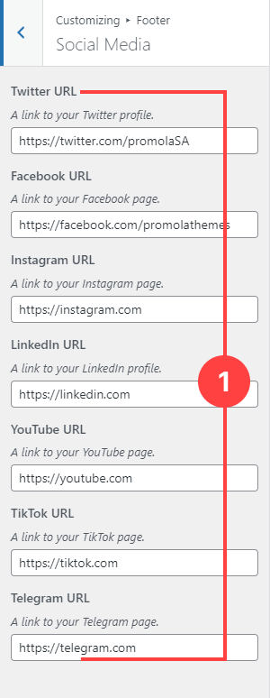 Footer Panel - Social Media Section