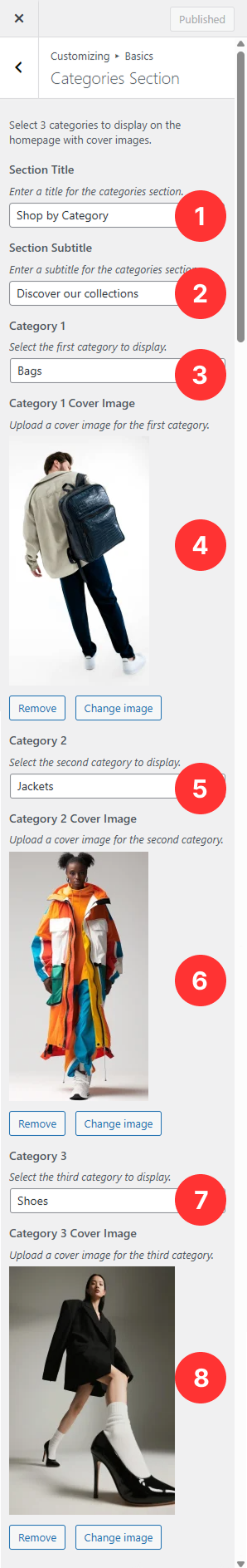 Basics Panel - Categories Section