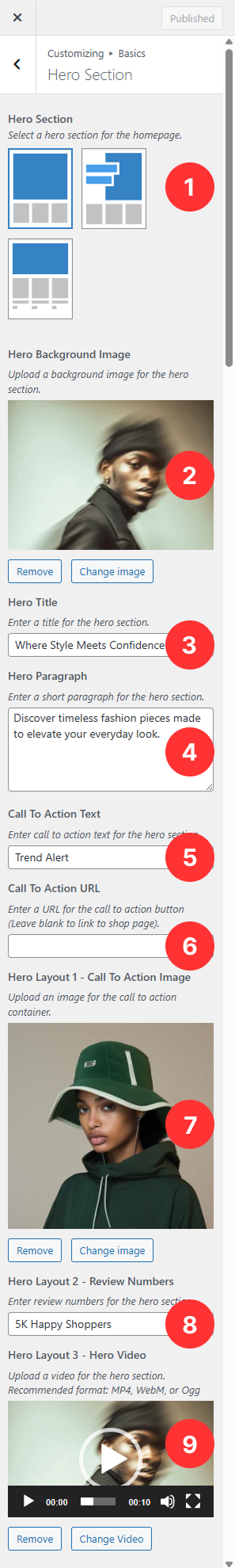 Basics Panel - Featured Section