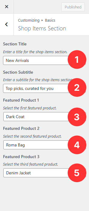 Basics Panel - Shop Items Section